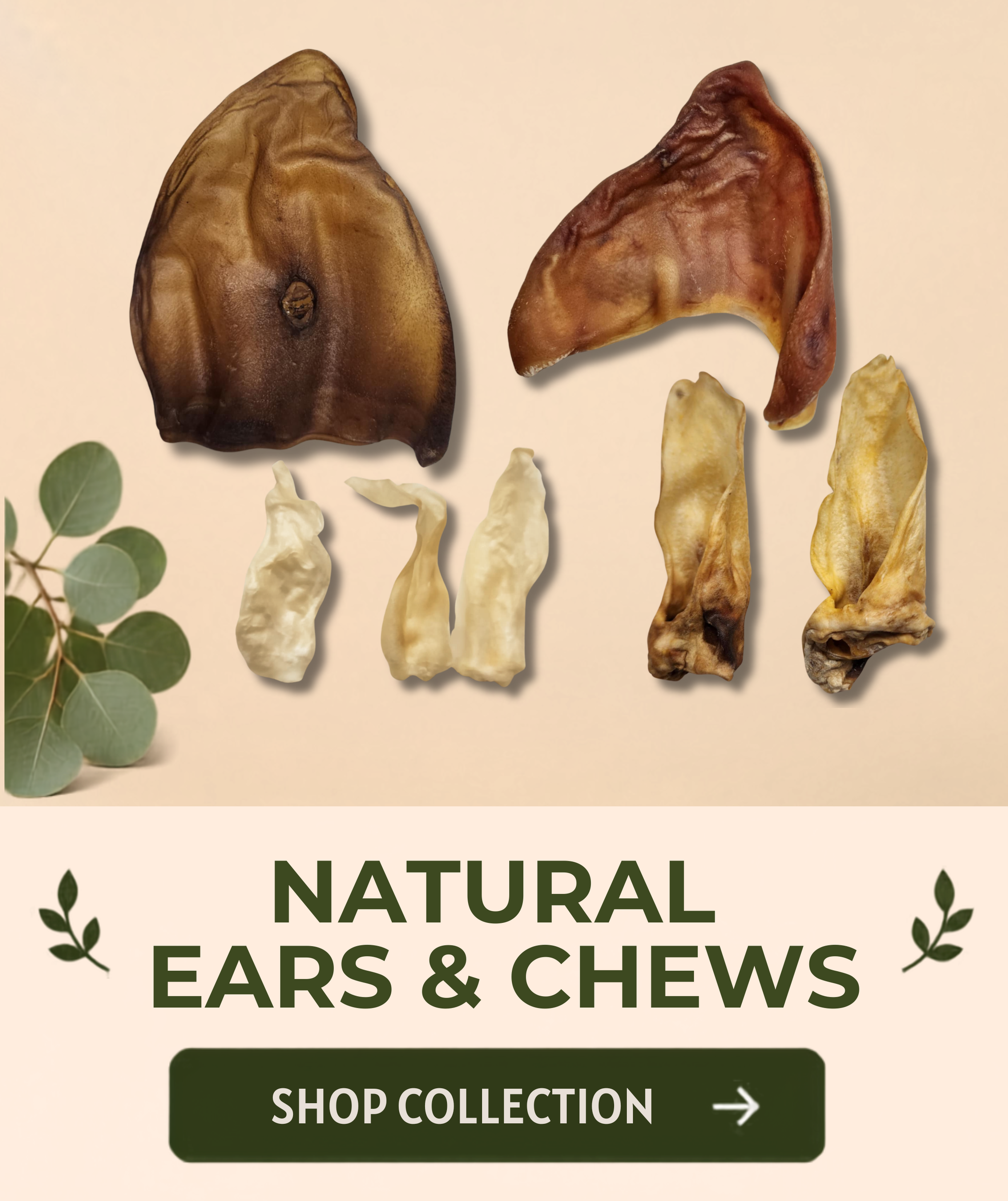 ALL NATURAL EARS & CHEWS