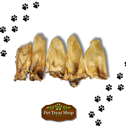 5 Pack Kangaroo Ears