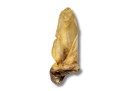 5 Pack Kangaroo Ears