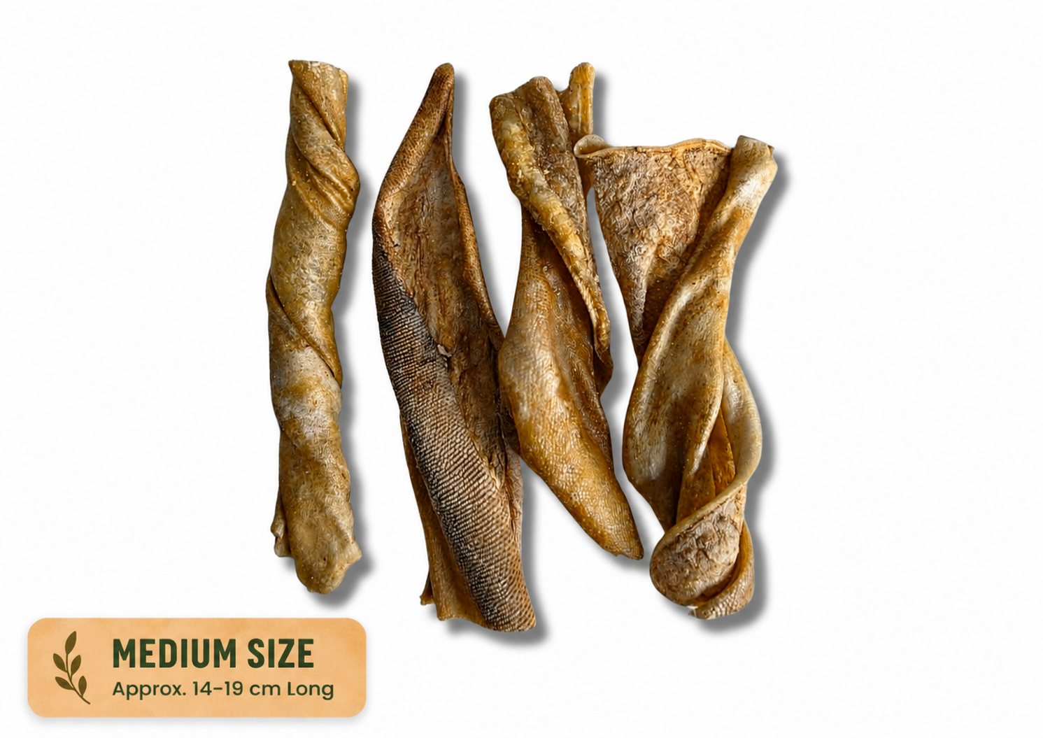 Medium size Kangaroo Tail Twists