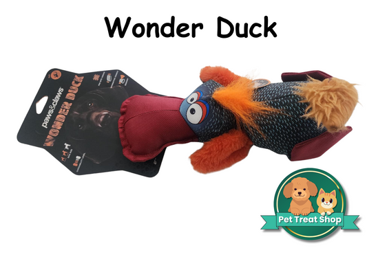 Wonder Duck Toy